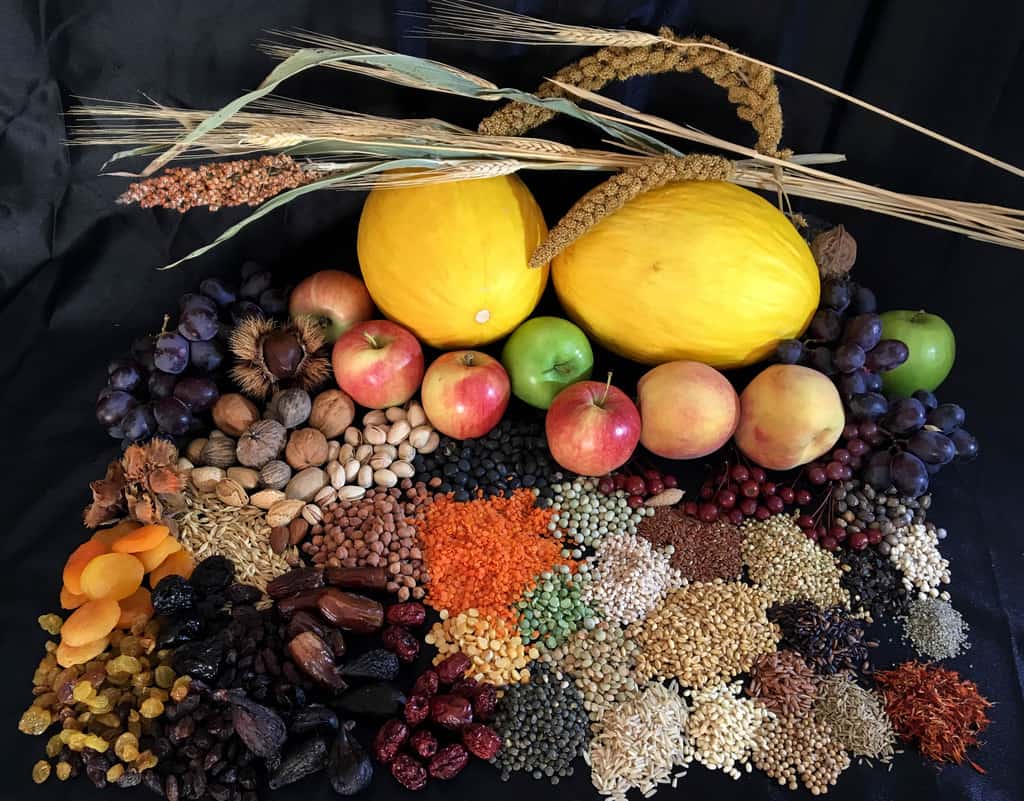<p><span style="color: red"><strong>The spread of goods, culture, and ideas across different regions, significantly influenced by trade routes such as the Silk Road. </strong></span></p>