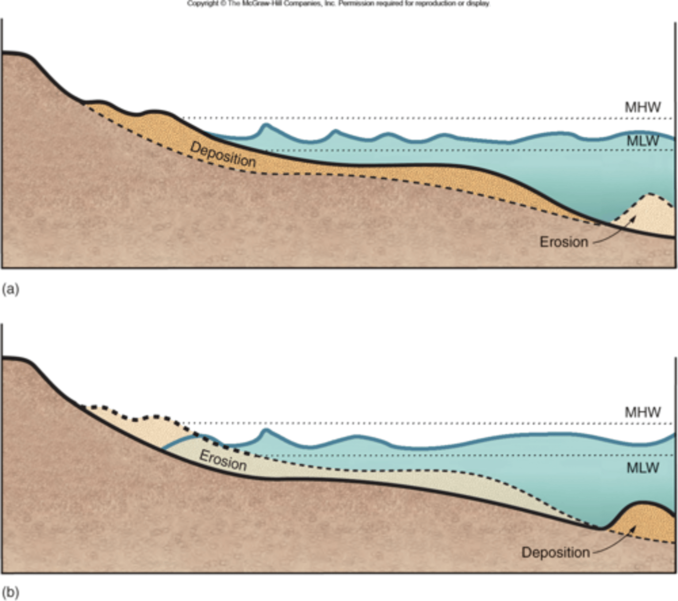 <p>top: summer</p><p>bottom: winter</p>