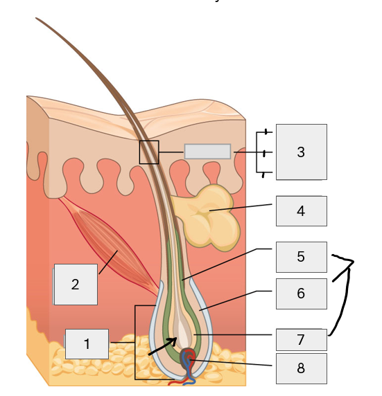 <p>1-4</p>
