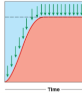 <p>is the state where muscle fibers are stimulated at such a high frequency that they do not relax at all between stimuli, resulting in a sustained, maximal contraction. </p>