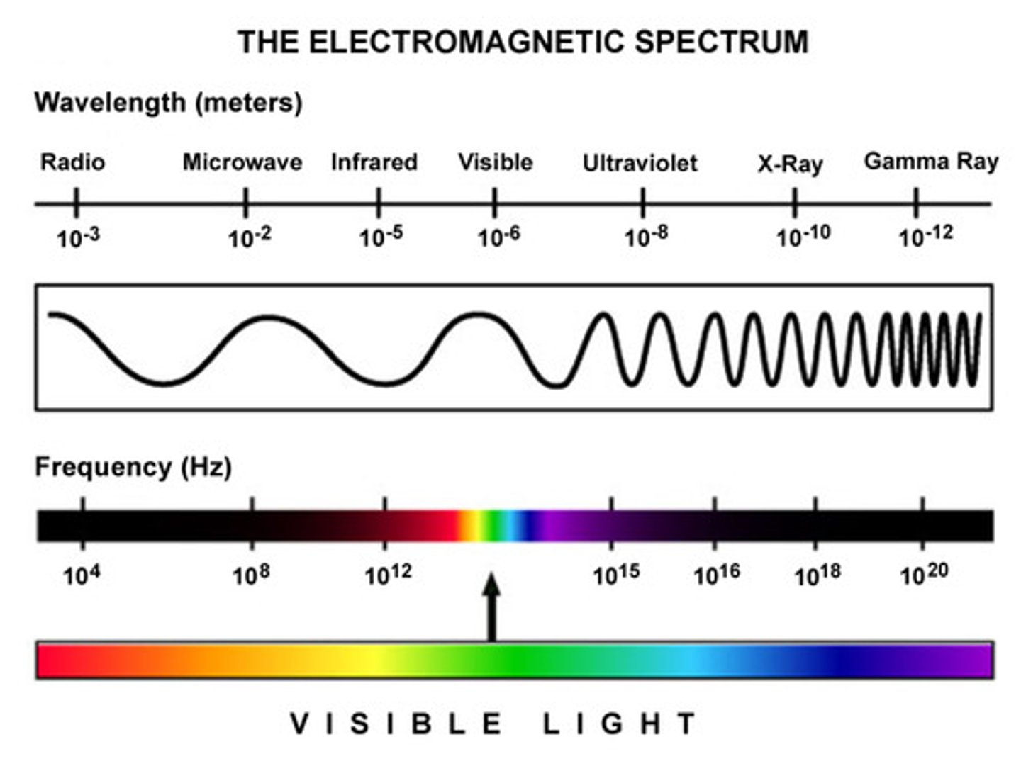 <p>A type of wave, such as a light wave or radio wave.</p>