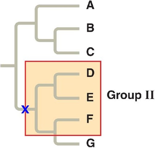 a group that doesn't include all the descendants of a common ancestor