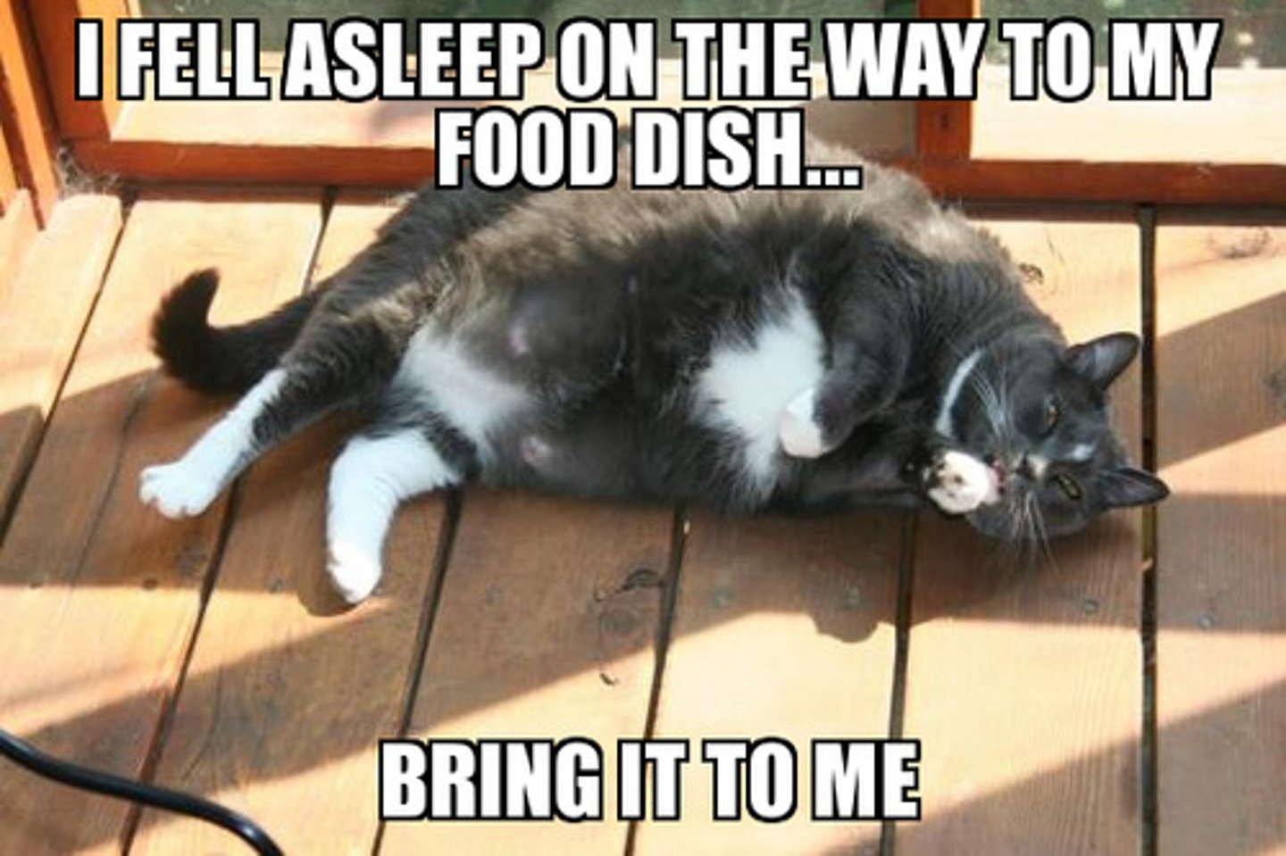 <p>Make the audience or reader laugh</p>