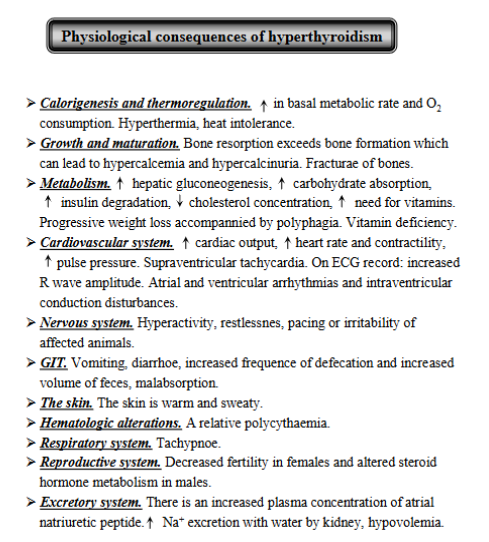 <p><strong>Thyroid disorder,</strong> from excessive circulating concentrations of T4 or T3. common in cats, but rare in dogs. Includes primary, secondary, tertiary.</p><p><strong>Primary</strong>: Problem is within the thyroid gland itself, causing it to make too much thyroid hormone (T4/T3), leading to decreased TSH secretion.</p><p><strong>Causes</strong>: thyroid hyperplasia (general enlargement), thyroid adenoma (benign tumor) and toxic multinodular goiter (enlargement of gland with many overactive nodules)</p><p><strong>General Consequences of hyperthyroidism:</strong></p><ol><li><p><strong>Calorigenesis and thermoregulation</strong>: increased basal metabolic rate and O2 consumption → hyperthermia, heat intolerance</p></li><li><p><strong>Growth and Maturation:</strong> Bone resorption exceeds bone formation, potentially leading to hypercalcemia, hypercalcinuria and fractures.</p></li><li><p><strong>Metabolism</strong>: increases hepatic gluconeogenesis, carb absorption, and insulin degradation, decreases cholesterol, incr. need for vitamins → weight loss, deficiencies.</p></li><li><p><strong>cardiovascular system:</strong> increased output, heart rate, pulse pressure, potentially leading to supraventricular tachycardia, incr. R-wave, atrial/ventricular arrhythmia</p></li><li><p><strong>NS</strong>: hyperactivitiy, restlessness, pacing and irritability.</p></li><li><p><strong>GIT</strong>: vomit, diarrhea, malabsorption</p></li><li><p>warm and sweaty skin, may lead to relative polycythemia, tachypnea, decreased fertility + change steroid metabolism in male, increased sodium + water excretion by kidney → hypovolemia.</p></li></ol><p></p>
