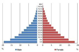 <p>What type of population pyramid is this?</p>