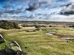 <p>open, uncultivated land, often covered with heather and having poor drainage.</p>