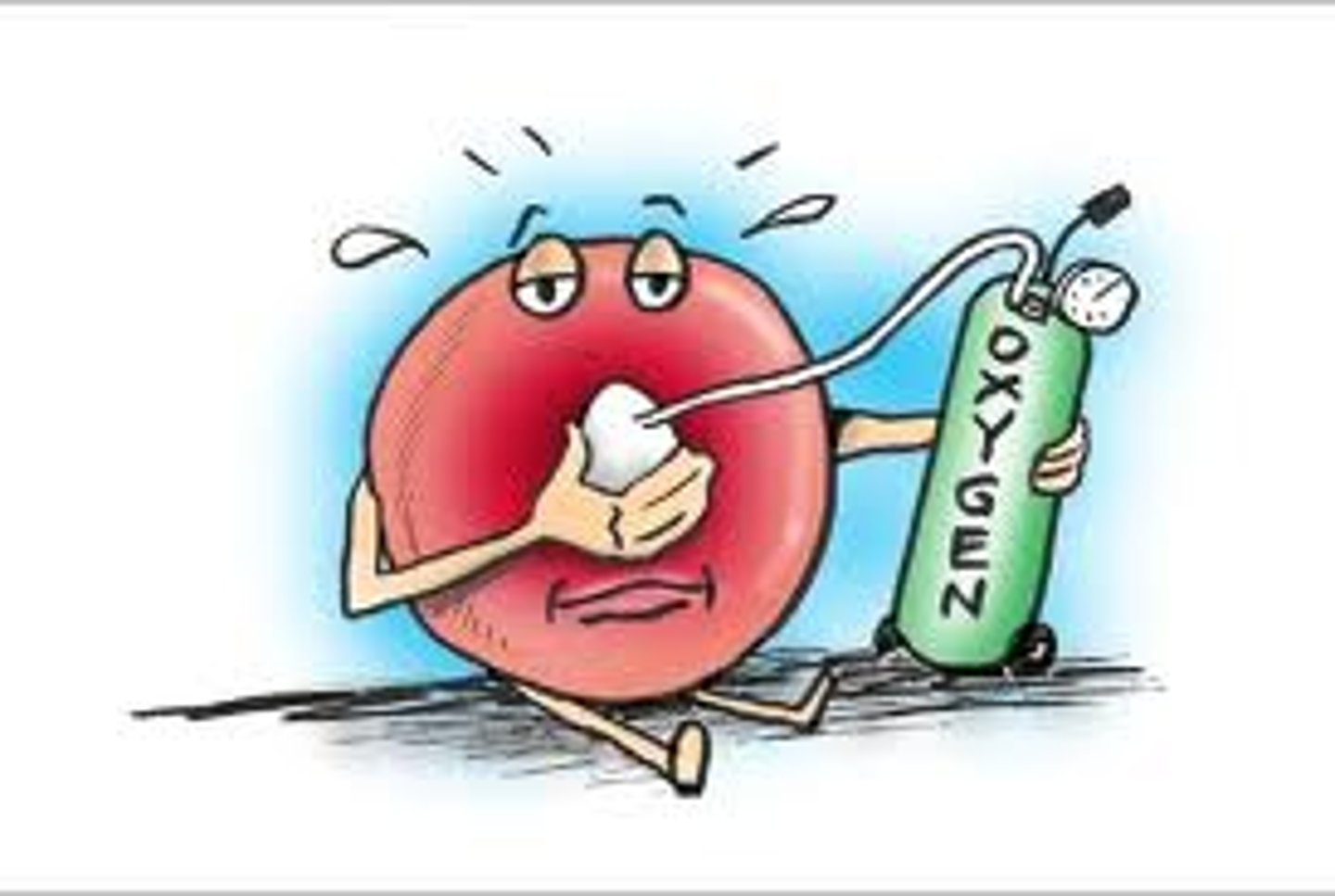 <p>Intubation</p><p>Support Ventilation</p><p>Apnea, Cyanosis</p>