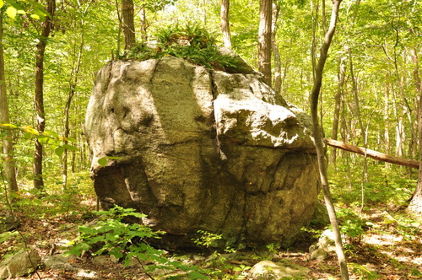 <p>Rocks that have been picked up by a glacier, carried along and deposited in an area of different geology than its source.</p>