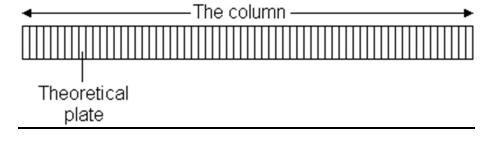 <p>A column contains a large number of separate layers (plates). The analyte moves down the column by transfer of the equilibrated mobile phase from one plate to the next.</p>
