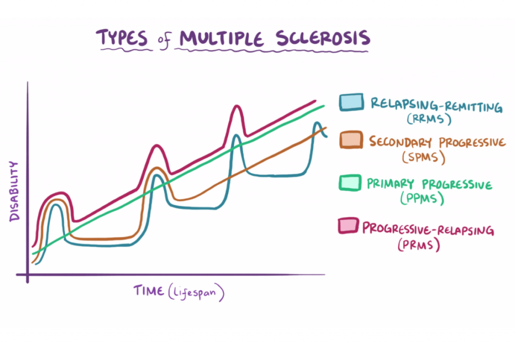 <ol><li><p><strong>relapsing-remitting MS (RRMS)</strong></p><ul><li><p><strong>temporary periods called “relapses”</strong></p></li><li><p><strong>attacks followed by period of remission</strong></p></li><li><p>~85% of pts. </p></li></ul></li><li><p><strong>primary progressive MS (PPMS)</strong></p><ul><li><p><strong>symptoms get worse with no remission period</strong></p></li><li><p>~10% of pts.</p></li></ul></li><li><p><strong>secondary progressive MS (SPMS)</strong></p><ul><li><p><strong>slowly worsening of symptoms and fxn</strong></p></li><li><p>50% of pts. with RRMS convert to SPMS within 10-20</p></li></ul></li><li><p><strong>progression-relapsing (PRMS)</strong></p><ul><li><p>rare (~5% of pts.)</p></li><li><p><strong>worsens from onset of 1st symptom</strong></p></li></ul></li></ol><p></p>