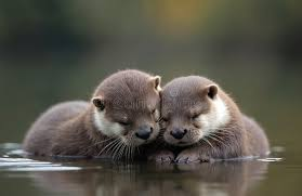 <p><span>An impairment of the ability to use and comprehend words</span></p>