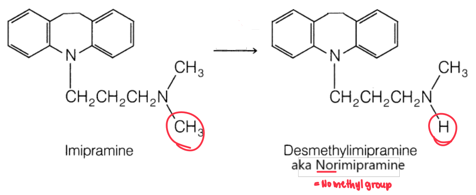 <p>Determine the metabolic reaction</p>