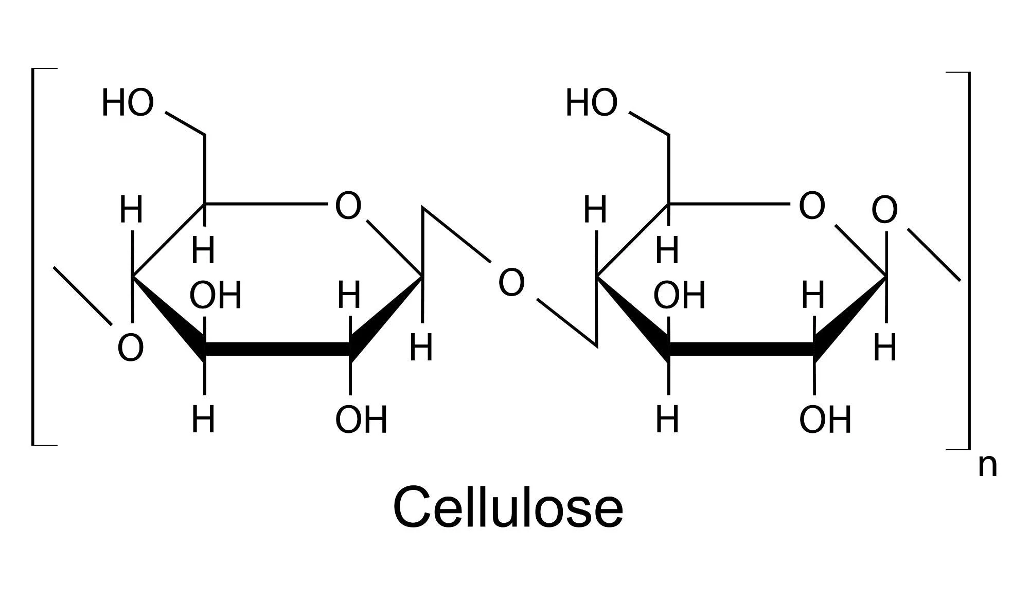 <p>cellulose</p>