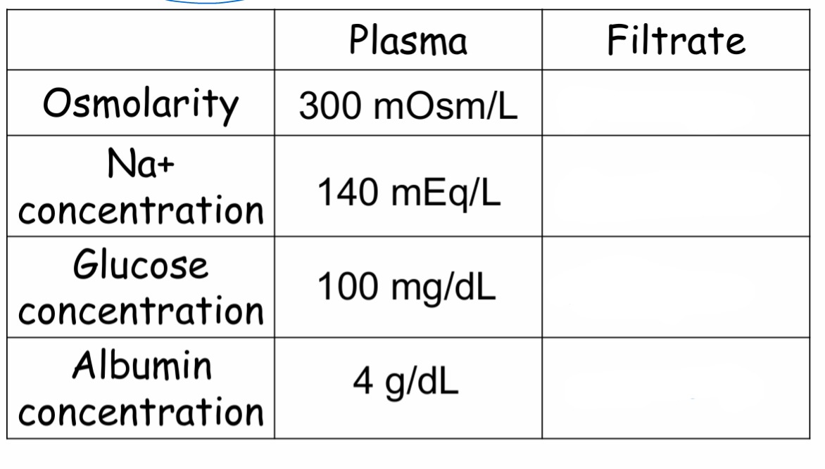 <p>How does the filtrate that is produced compare to plasma?</p>