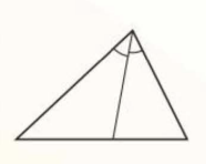 <p>line that divides an angle into two equal angles.</p>