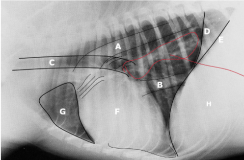 <p>What are each of the letters</p>