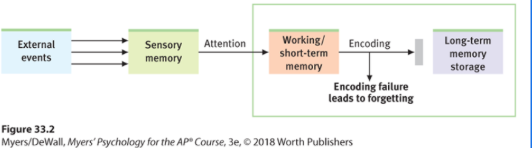 <p><span>Sometimes, forgetting happens because we didn’t properly encode the information in the first place.</span></p>