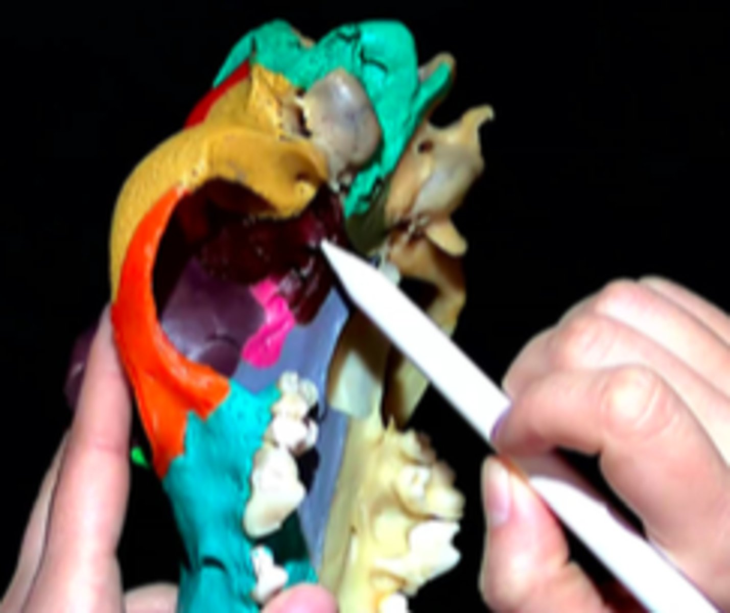 knowt flashcard image