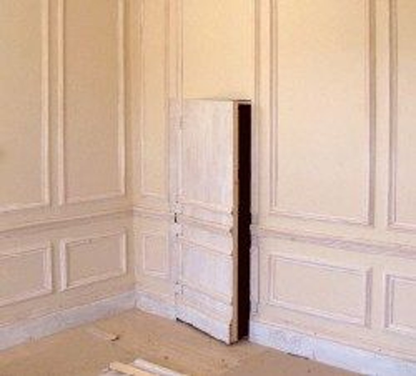 <p>Hidden or blend-in door on the wall</p>