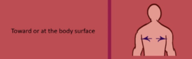 <p>refers to a position that is closer to the surface of the body. </p>