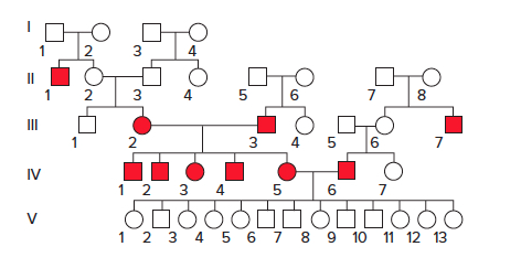 <p><span>The pedigree that follows is showing the inheritance pattern of deafness, a heterogeneous trait, in a family. What are the genotypes of individuals IV-5 and IV-6?</span></p><p>aa bb and AA BB</p><p>&nbsp;</p><p>AA BB and aa bb</p><p>&nbsp;</p><p>Aa Bb and Aa Bb</p><p>&nbsp;</p><p>Aa bb and aa Bb</p><p>&nbsp;</p><p>AA bb and aa BB</p><p>&nbsp;</p><p>AA bb and AA bb</p>