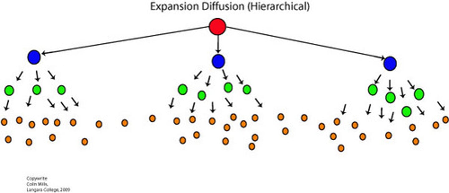 <p>the spread of a feature or trend from one key person or node of authority or power to other persons or places</p><p>Ex: taylor swift culture</p>