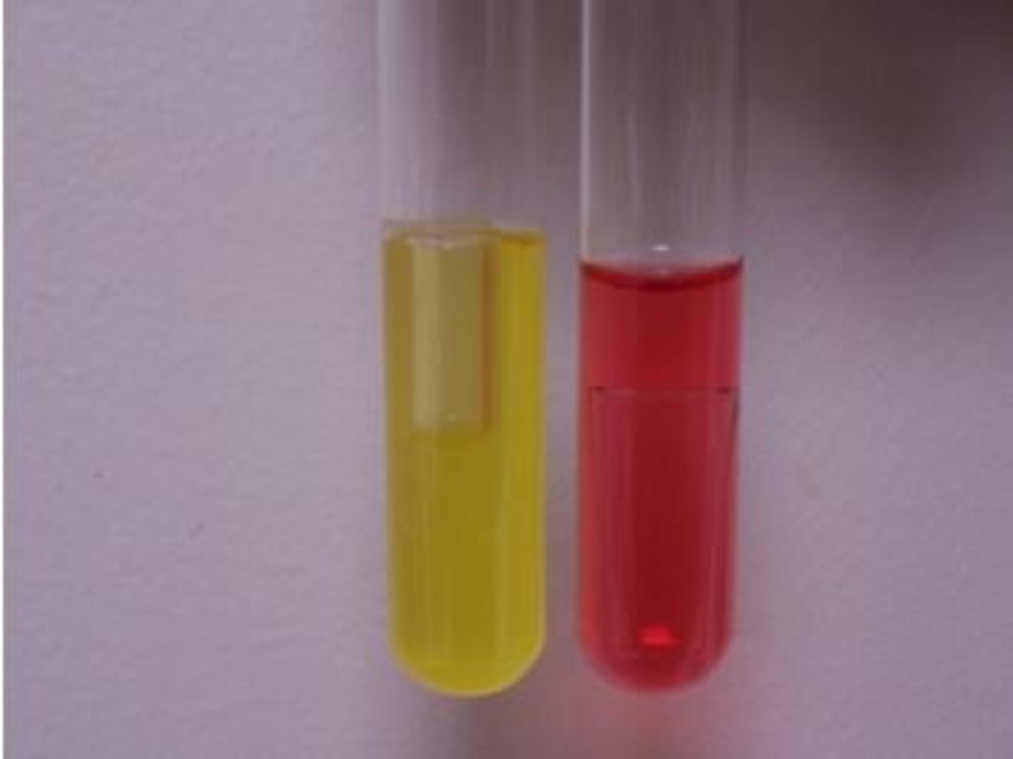 <p>which test is displayed in the picture?</p>