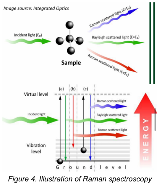 <p><strong>D. Light Scattering Spectroscopy / Raman Spectroscopy</strong></p>