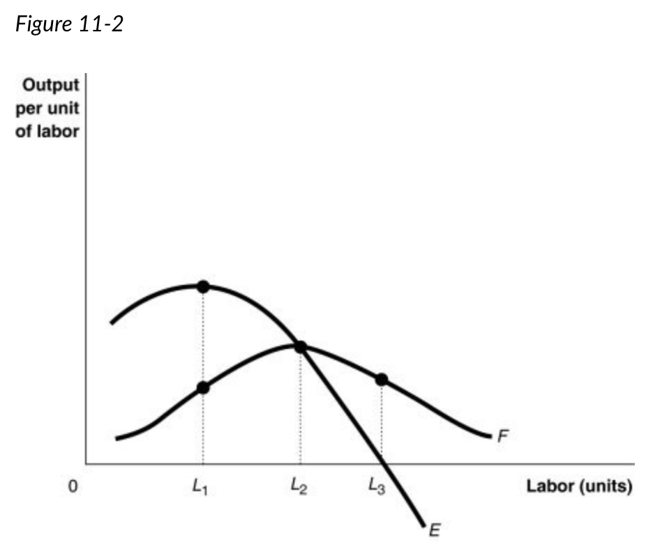 <p>The curve labeled “E” is </p><p>the total product curve</p><p>the marginal product curve</p><p>the average product curve</p><p>the output supply curve</p>