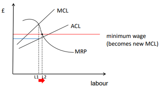 <ul><li><p>Can raise employment</p></li><li><p>Once it’s imposed, the MCL becomes it (up to the point where ACL passes above it)</p></li></ul><p></p>