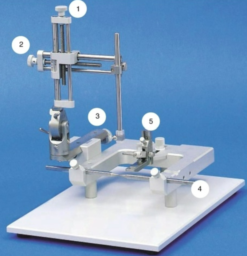 <p>Label the parts of the parts of the stereotaxic frame</p>
