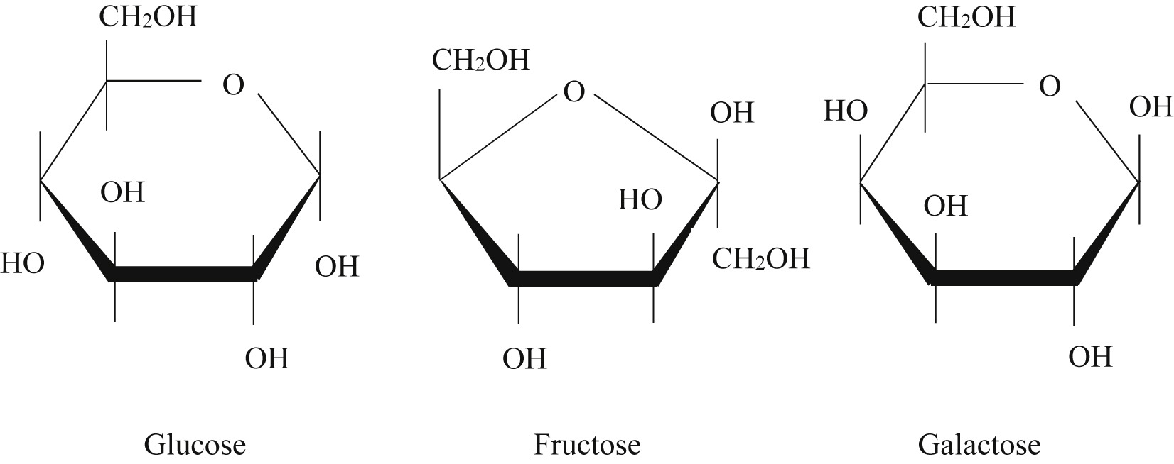 <ul><li><p>Glucose and galactose are stereoisomers <br><br>Glucose: -OH on the bottom left<br>Galactose: -OH on top left<br><br>Fructose: has carbonyl group, literally looks diff than glucose and galactose</p></li></ul><p></p>