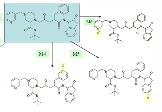 <p>hydroxylation of fused benzenes</p>