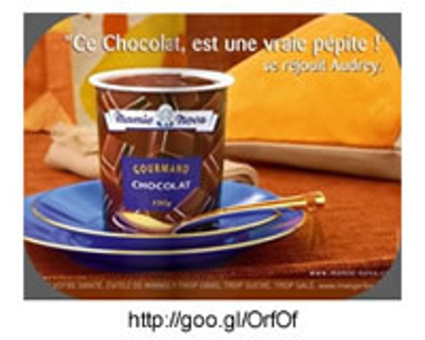 <p>Une publicité (pub)</p>