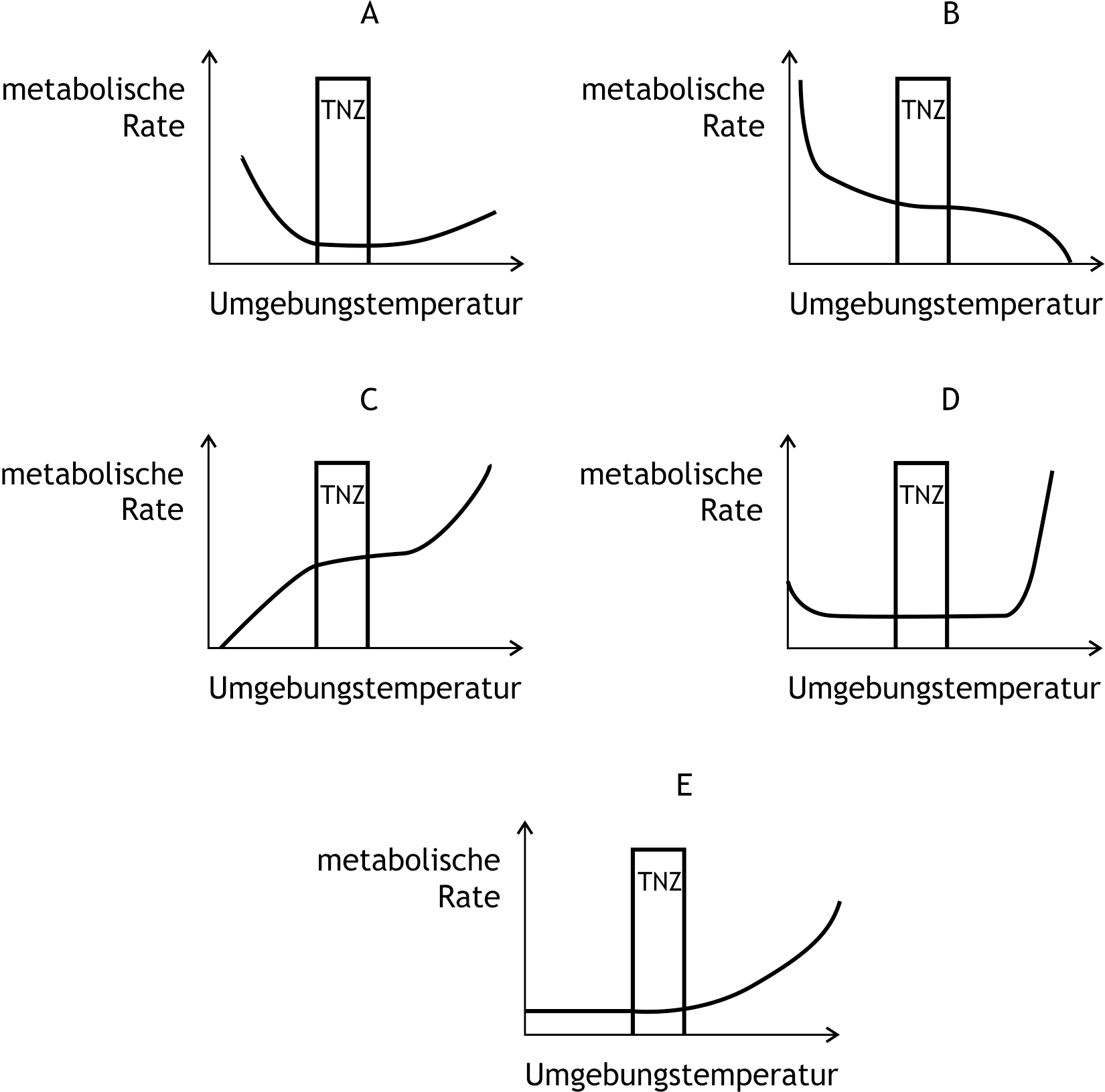 <p>16. In a graph, the relationship between the metabolic rate of an adult human and the ambient temperature is to be represented schematically (with linearly scaled axes). TNZ symbolizes the temperature range of the thermoneutral zone.</p><p>Which of the graphs A to E best represents this relationship?</p><p>A. (A)</p><p>B. (B)</p><p>C. (C)</p><p>D. (D)</p><p>E. (E)</p>