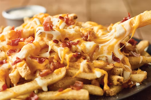 Aussie Cheese Fries (cheese)