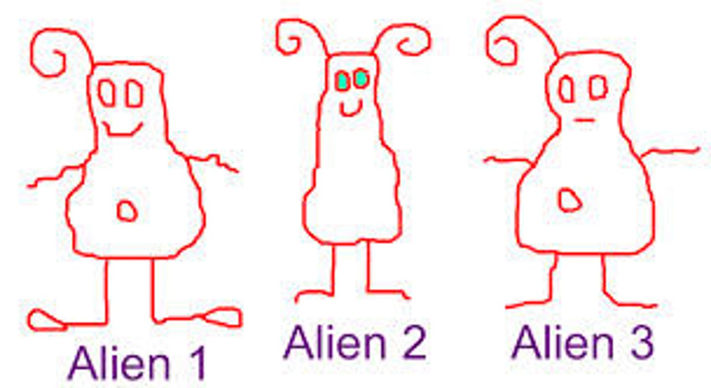 <p>Alien has one antennae, two arms, two eyes, rounded tips on feet.</p><p>A. alien 1 B. alien 2 C. alien 3</p>