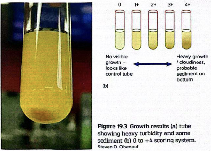 <p>Absorbance via spectrophotometer</p><p>Higher absorbance= higher bacterial number= halophilic</p>