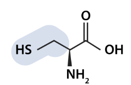 <p>what aa is this</p>