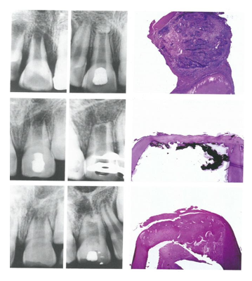 <p>What is this image showing?</p>