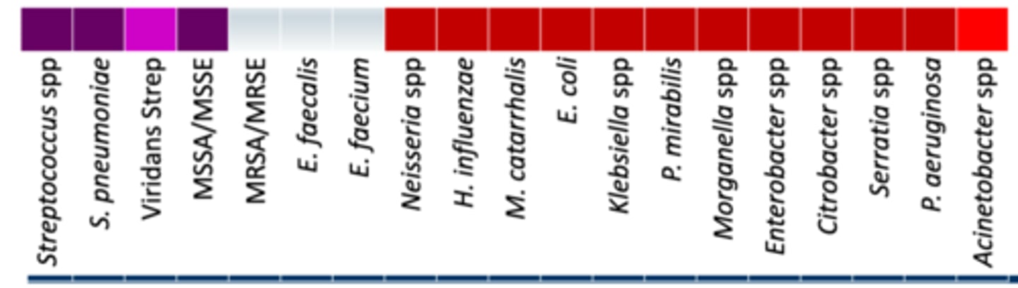 <p>• Anaerobes: +/- (oral anaerobes)</p><p>• Miscellaneous: </p><p>- Active against ESBLs </p><p>- Definitive Therapy: ESBL-producing Enterobacterales</p><p>• Coverage - Same as cefepime, but even better and more active against ESBLs</p>