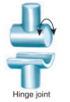 <p>Hinge joint</p>