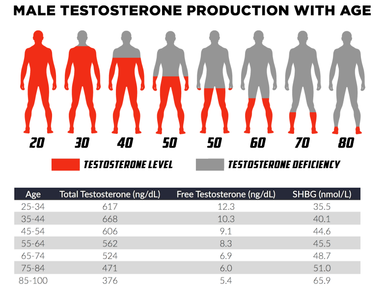 <ul><li><p>levels decrease with age</p></li><li><p>peak is around 20s </p></li><li><p>release levels drops greatly 50s and after</p></li></ul><p></p>