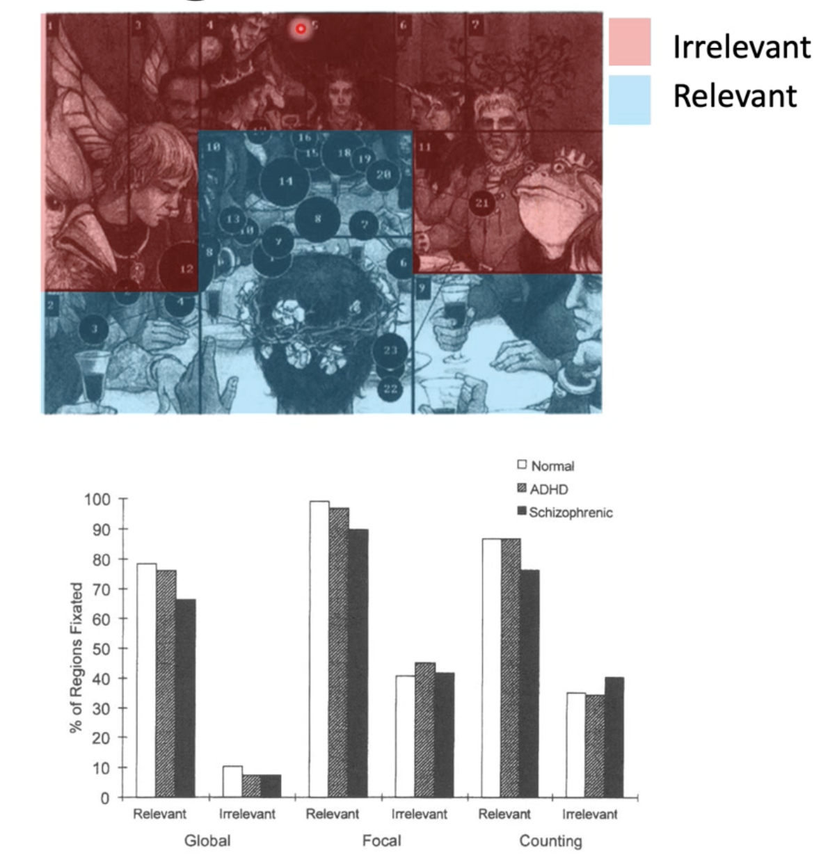 <p>They compared eye movements between schizophrenic children and typically developing children when asked to view a scene</p><ul><li><p>They were given:</p><ul><li><p>global questions (i.e. what is happening in the picture?)</p><ul><li><p>This required them to integrate all information given in the scene</p></li></ul></li><li><p>Focal questions (I.e. how old do you think each person is?)</p><ul><li><p>This required information from 2-3 places</p></li></ul></li><li><p>Counting question (i.e. count the number of cups on the table)</p></li></ul></li></ul><p>The identified spatial areas of the pictures that were either relevant or irrelevant based on the task (ie. looking at the heads would be irrelevant when asked to count cups)</p><p>They then examined the % of regions (relevant or irrelevant) that were fixated on in each question</p><p>They did this because they hypothesised that the intrusive eye movements as seen in smooth pursuits may influence scene viewing in schizophrenics too</p><p>There were no elevated looks to irrelevant locations in any task in schizophrenics compared to TD children.</p><p>Therefore, whilst saccadic behaviours are affected by schizophrenia in smooth pursuits, scene viewing is unaffected</p>