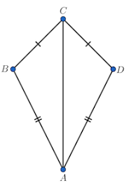 <p>Kite listing </p>