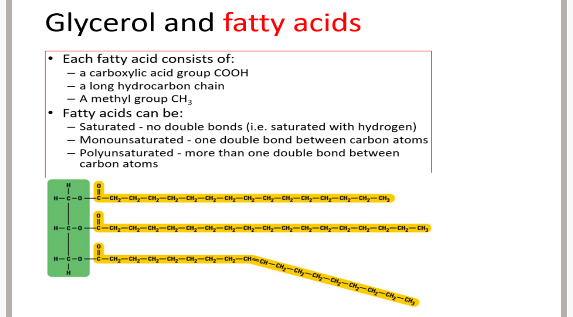 <p>1.carboxylic. 2.long. 3.Saturated. 4.Monounsaturated. 5.polyunsaturated</p>
