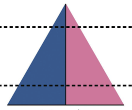 <p><span>In </span><strong>Stage 2</strong><span>, the introduction of modern medicine lowers death rates, especially among children, while birth rates remain high; the result is rapid population growth. Many of the least developed countries today are in Stage 2. (Triangle)</span></p>
