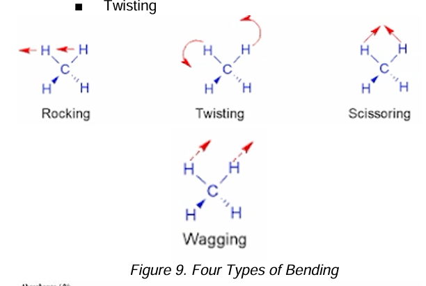 <ol><li><p><strong>Rocking</strong></p></li><li><p><strong>Twisting</strong></p></li><li><p><strong>Scissoring</strong></p></li><li><p><strong>Wagging</strong></p></li></ol><p></p>