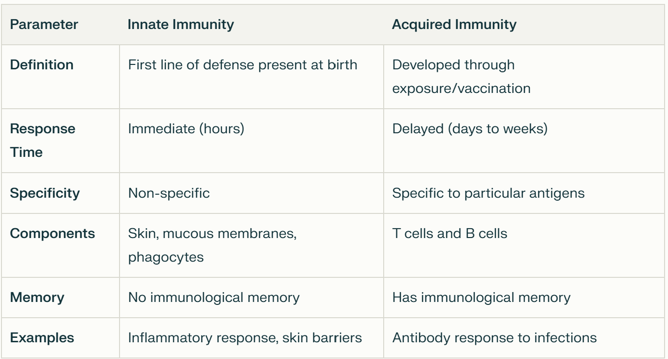 <ul><li><p><strong>Innate Immunity</strong>:</p><ul><li><p><mark data-color="red" style="background-color: red; color: inherit">Neutrophils and macrophages </mark>provide immediate defense against pathogens through <strong>phagocytosis</strong> and the <strong>release of antimicrobial substances. </strong></p></li><li><p><span>Present from birth</span></p></li><li><p><span>Non-specific</span></p></li><li><p><span>Doesn’t have immunological memory</span></p></li><li><p><span>Against inflammation.</span></p></li></ul></li><li><p><strong>Adaptive Immunity</strong>:</p><ul><li><p><mark data-color="red" style="background-color: red; color: inherit">Lymphocytes (B and T cells) </mark>are central to adaptive immunity, providing a targeted response to specific pathogens.</p></li><li><p><strong>B cells produce antibodies that neutralize pathogens</strong></p></li><li><p><strong>T cells destroy infected host cells</strong> or help orchestrate the immune response.</p></li><li><p>Developed over time</p></li><li><p>Specific</p></li><li><p>Has immunological memory</p></li><li><p>Against infections</p></li></ul></li></ul><p></p>