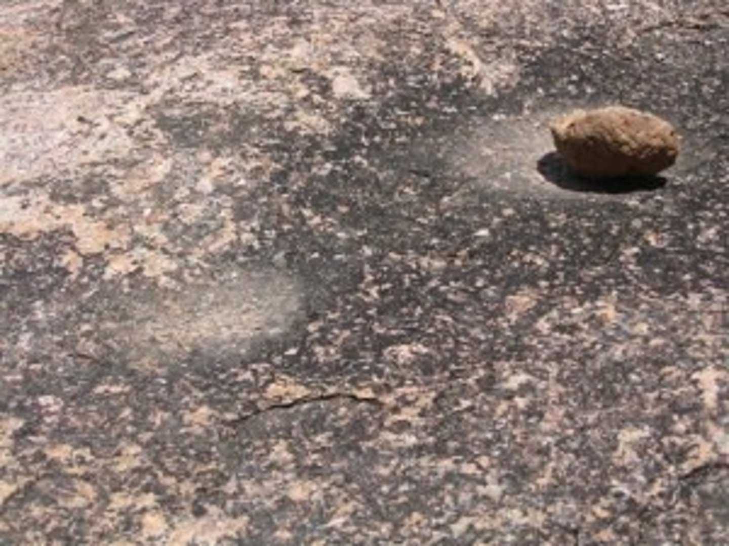 <p>The solid layer of rock beneath the soil</p>